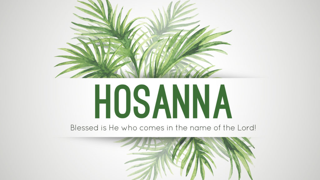 Key-Art_Palm Sunday_16x9